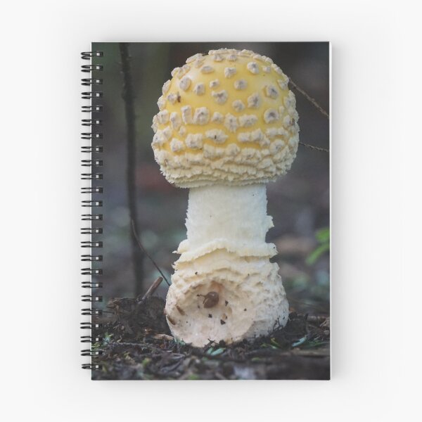 Item preview, Forest Fungus designed and sold by BenjaminMartin.