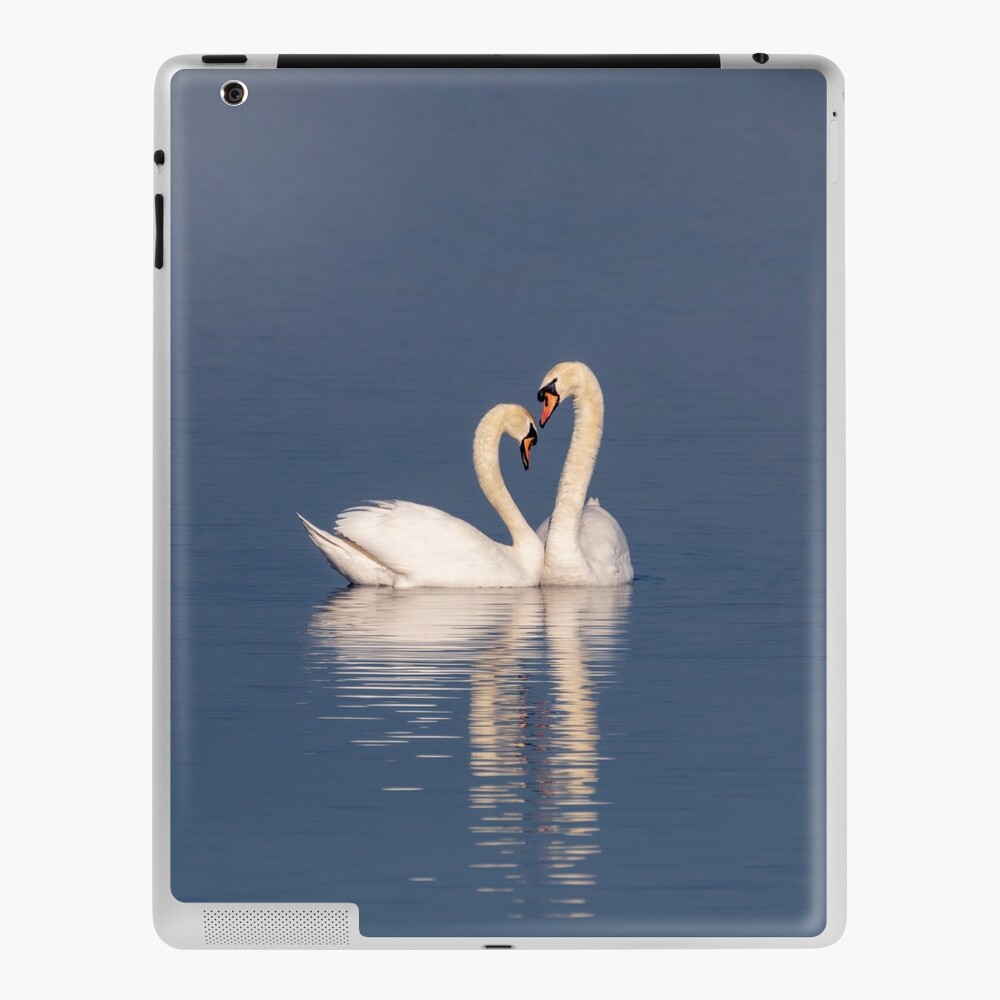 Item preview, iPad Skin designed and sold by AYatesPhoto.