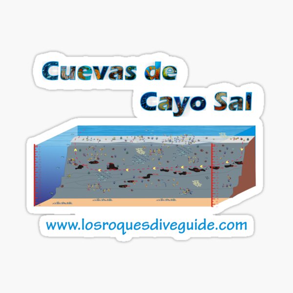 Dive los roques Venezuela Cuevas Cayo Sal Sticker