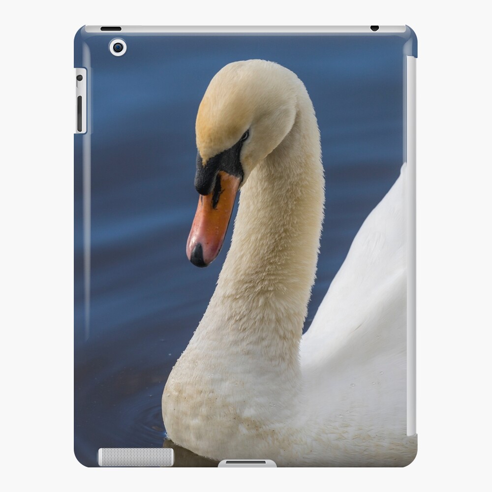 Item preview, iPad Snap Case designed and sold by AYatesPhoto.