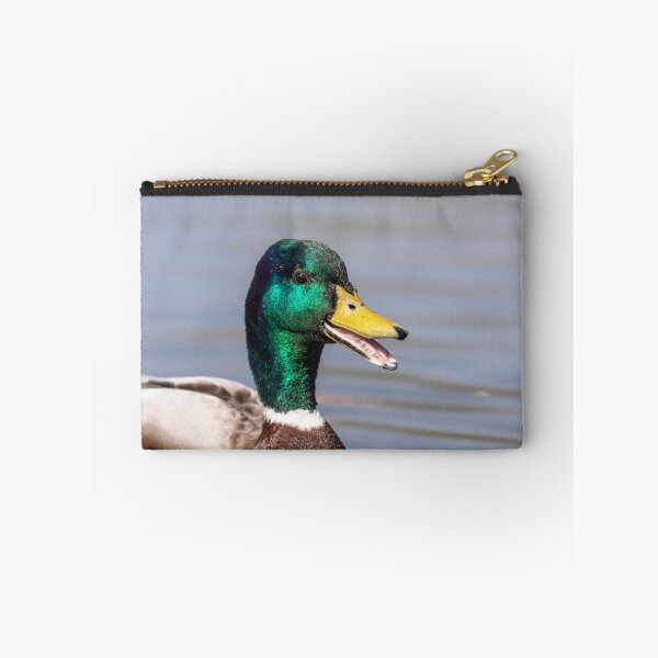 Aperçu de l'œuvre Le canard heureux créée et vendue par AYatesPhoto.