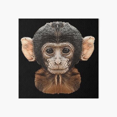 Baby Monkey Art Board Prints Redbubble