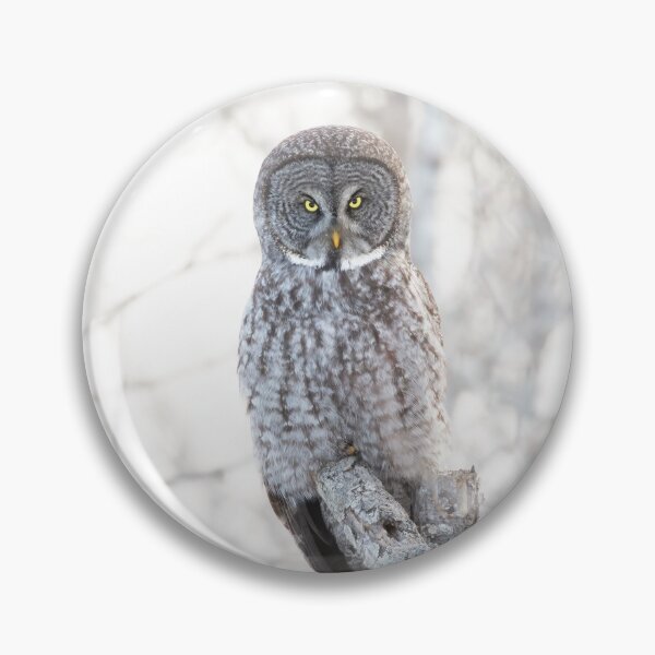 Item preview, Great Grey Owl designed and sold by James Cumming.