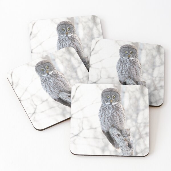 Item preview, Great Grey Owl designed and sold by James Cumming.