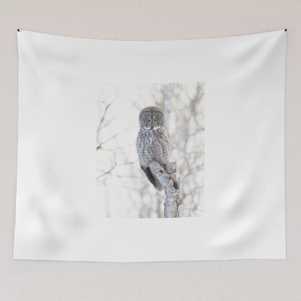 Item preview, Great Grey Owl designed and sold by James Cumming.