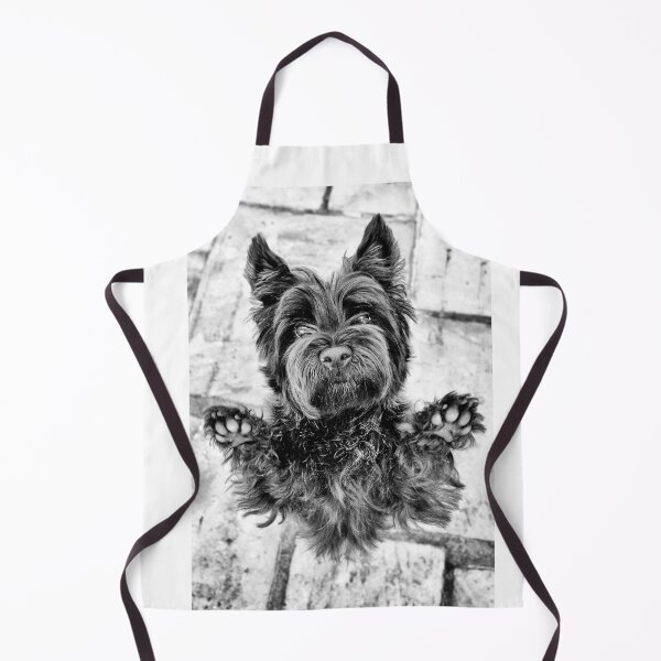 Dog cairn terrier love Apron