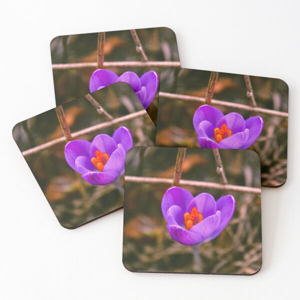 Item preview, Autumn Crocus Care flowers designed and sold by SzendeB.