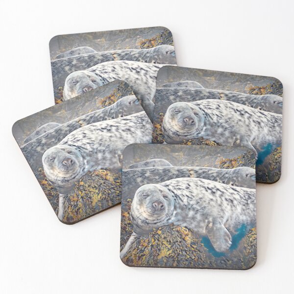Item preview, And Rest! designed and sold by Viv Thompson Photography .