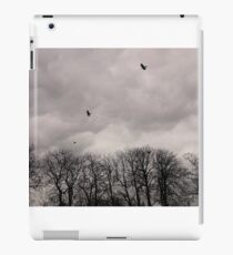 Power of nature iPad Case/Skin