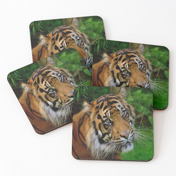 Item preview, Tiger Vision designed and sold by KingYoungPimpin.
