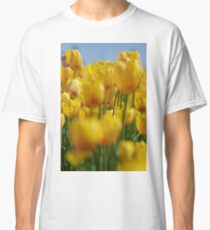 Yellow Field of Tulips Classic T-Shirt