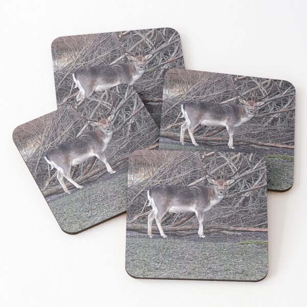 Item preview, Deer, deer, animal, nature designed and sold by Sternchen2789.