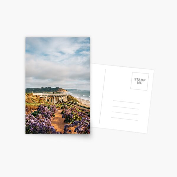 To Torrey Pines Postcard