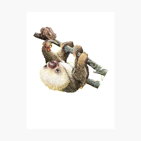 Item preview, Baby Sloth designed and sold by AmitArt.