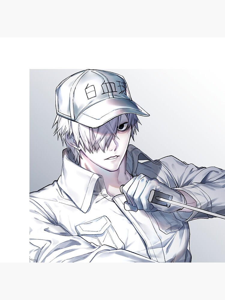 Pin on Cells at work/Hataraku Saibou