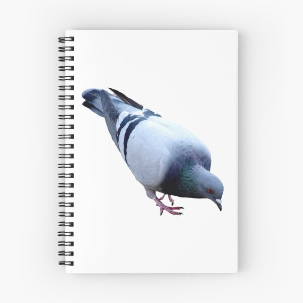 Item preview, Pigeon designed and sold by DoodleDashCollective.