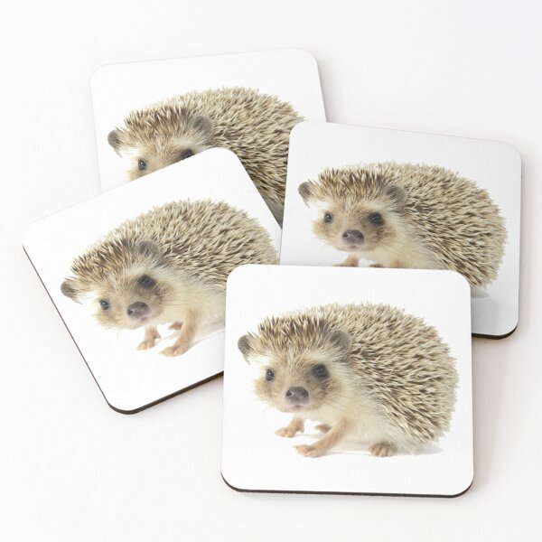 Item preview, Cute Hedgehog designed and sold by DoodleDashCollective.
