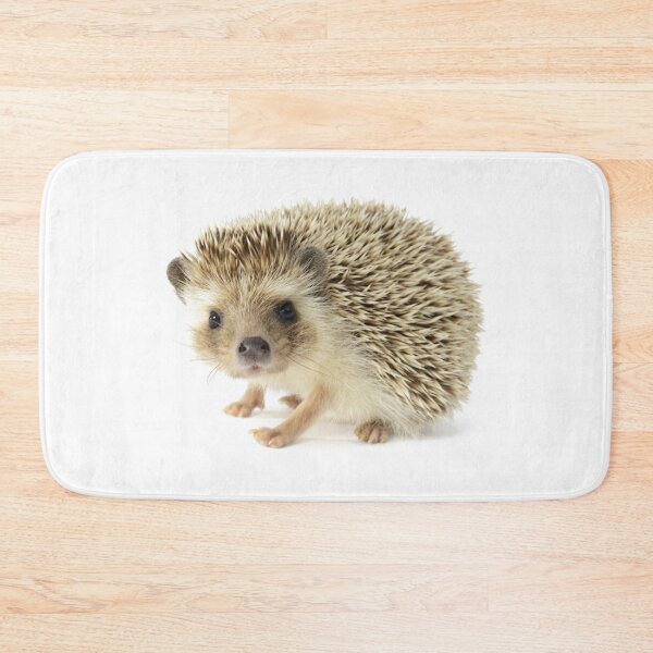 Item preview, Cute Hedgehog designed and sold by DoodleDashCollective.