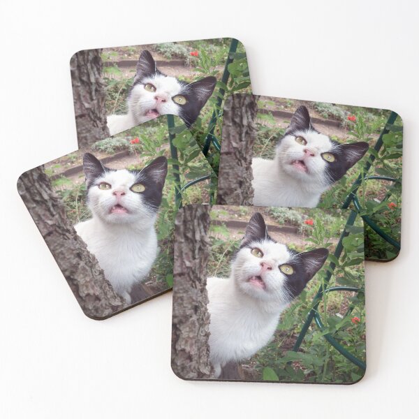 Item preview, Tom cat designed and sold by Gourmetkater.