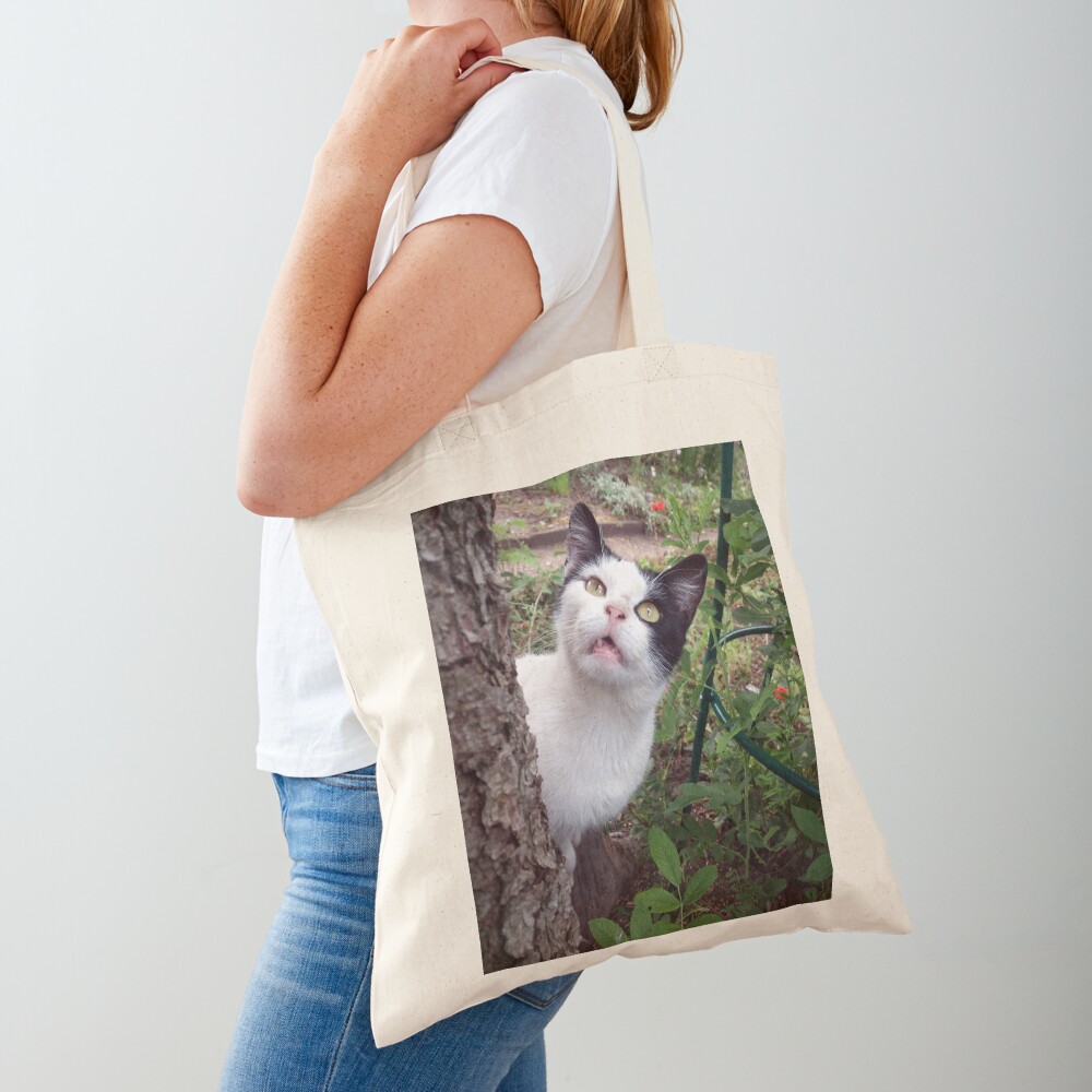Kater Tim Stofftasche