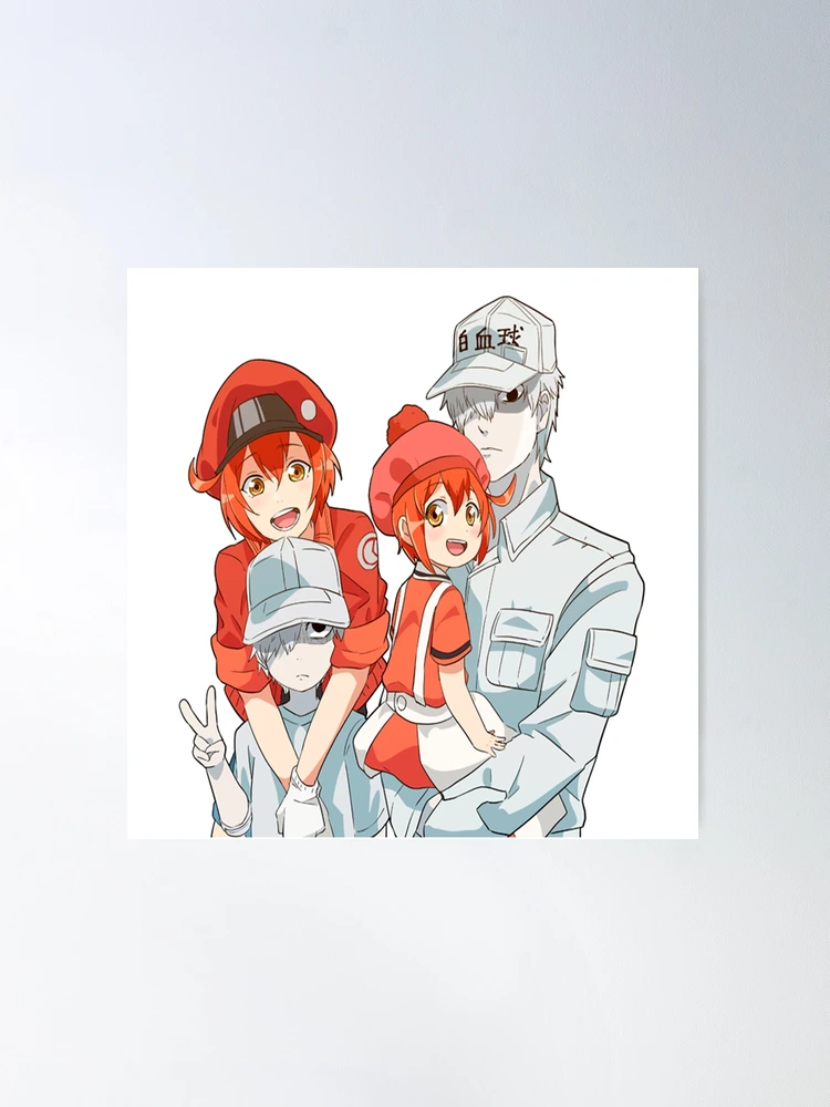 Hataraku Saibou Cells at Work - White Blood Cell  Poster for Sale by  CherylKato