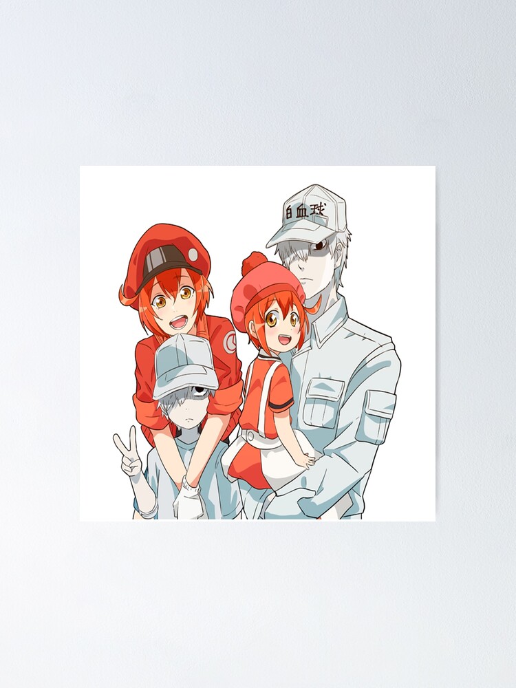 Hataraku Saibou - Cells At Work Poster for Sale by CherylKato