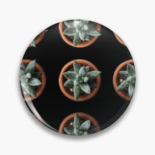 Item preview, Succulent pattern in black background designed and sold by Aidonera.
