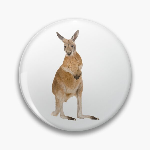 Item preview, Red Kangaroo designed and sold by DoodleDashCollective.