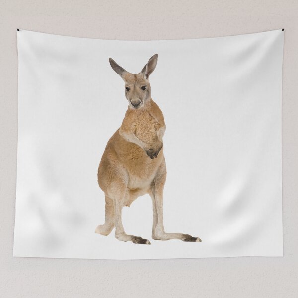 Item preview, Red Kangaroo designed and sold by DoodleDashCollective.