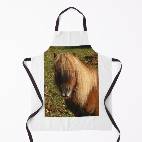 Item preview, Shetland Pony designed and sold by wiggyofipswich.