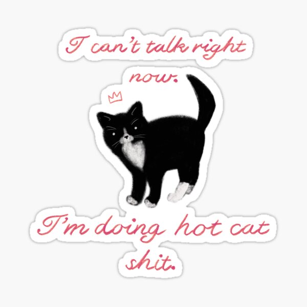 Can't talk right now I'm doing hot girl shit (cat, pink ver) Sticker