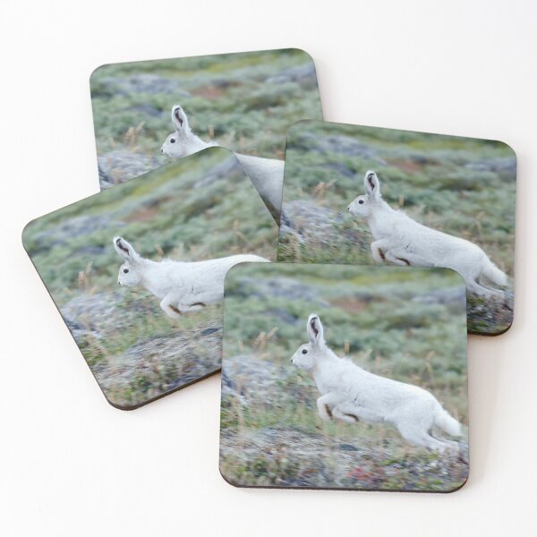 Item preview, Nice arctic-hare. designed and sold by Lan thi Nguyen.