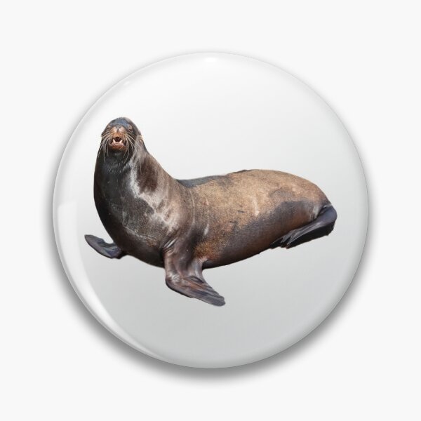 Item preview, Sea lion designed and sold by DoodleDashCollective.