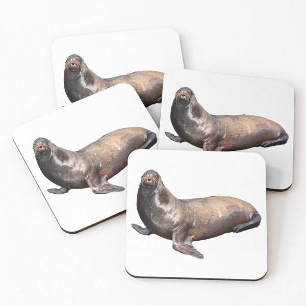 Item preview, Sea lion designed and sold by DoodleDashCollective.