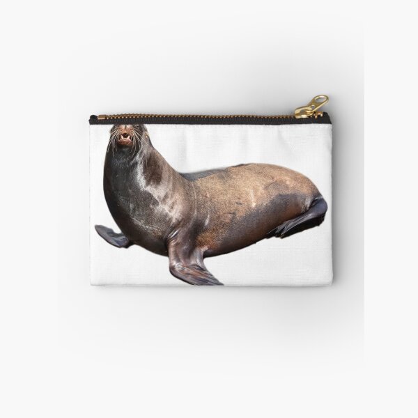 Item preview, Sea lion designed and sold by DoodleDashCollective.