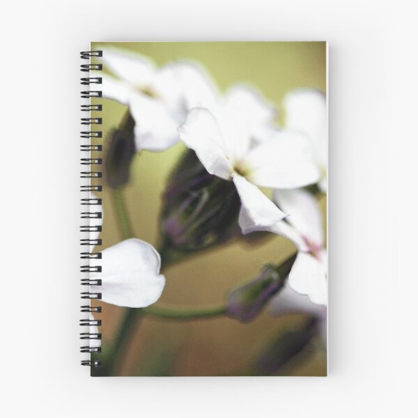 Item preview, -White Campion designed and sold by T.J. Martin.