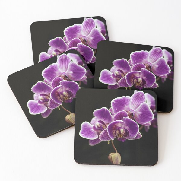 Item preview, Phalaenopsis designed and sold by jimmylu.