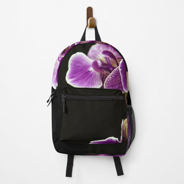 Item preview, Phalaenopsis designed and sold by jimmylu.