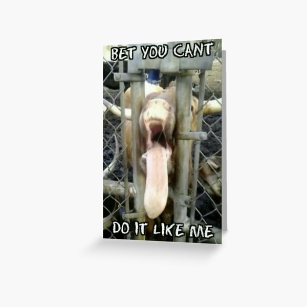 Greeting Card