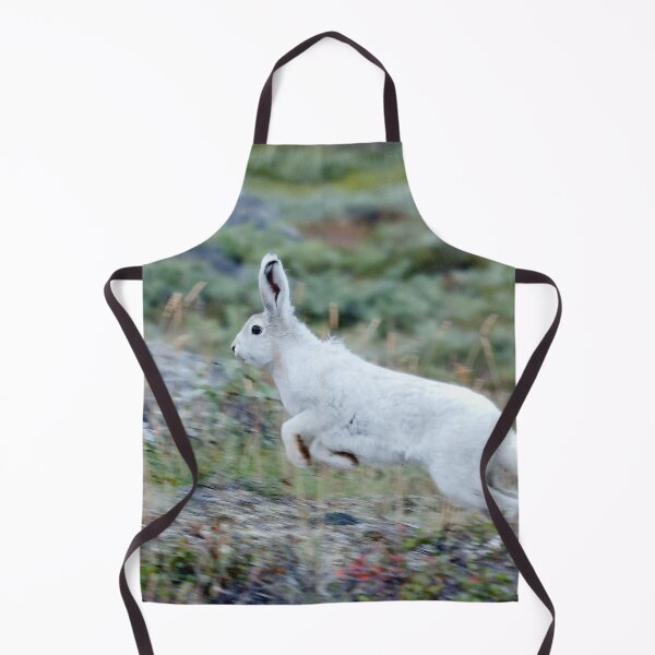 Item preview, Nice arctic-hare. designed and sold by Lan thi Nguyen.