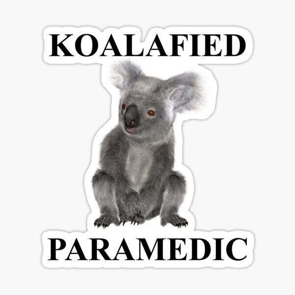 Koala Bear Sticker Cute Koala Bear Sticker Gift for Koala Bear Lovers and  Koala Bear Enthusiasts Baby Koala Bear Vinyl Sticker for Gadgets -  New  Zealand