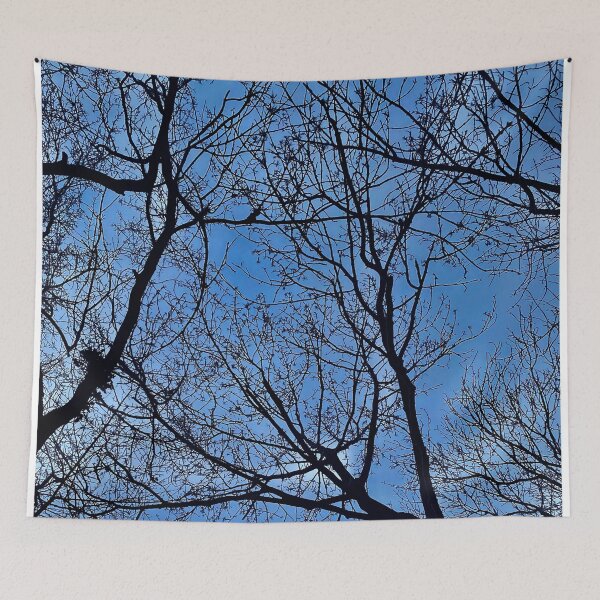 Item preview, Winter Trees designed and sold by AAAlexxxa.