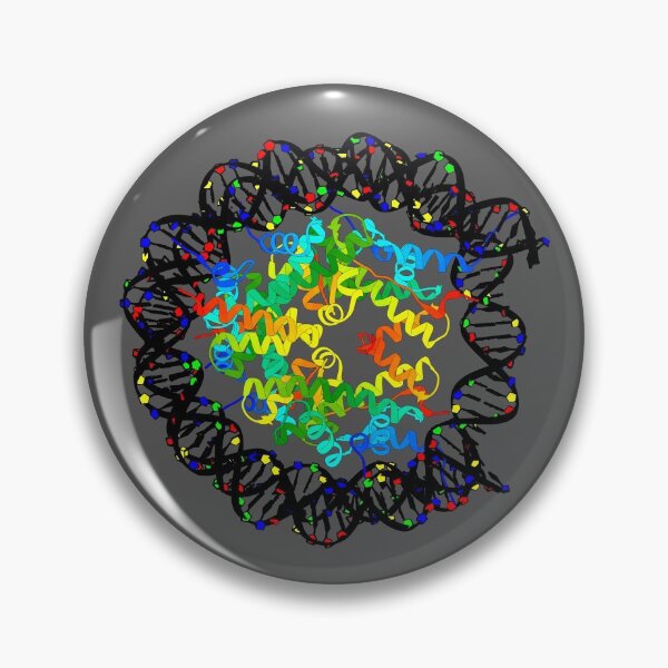 Item preview, Nucleosome designed and sold by 3D Biology.