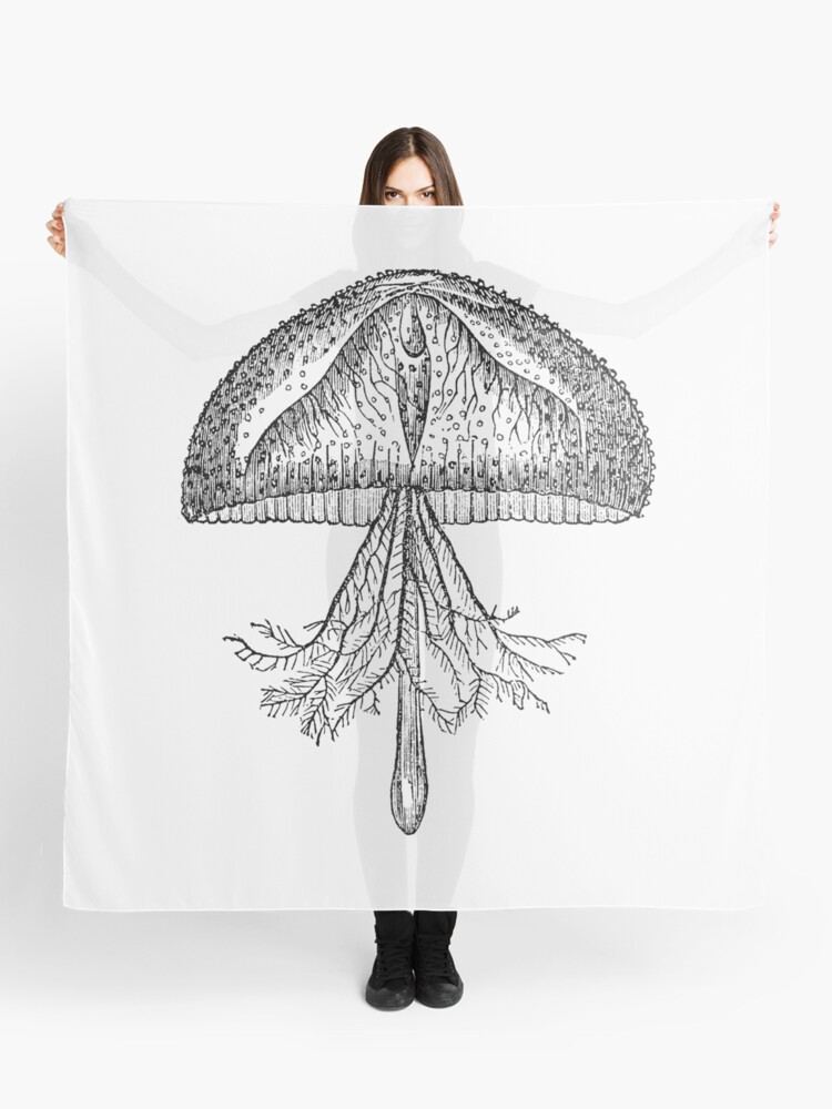 Vintage Jellyfish Illustration Retro 1800s Black And White Image Scarf By Silverspiral Redbubble