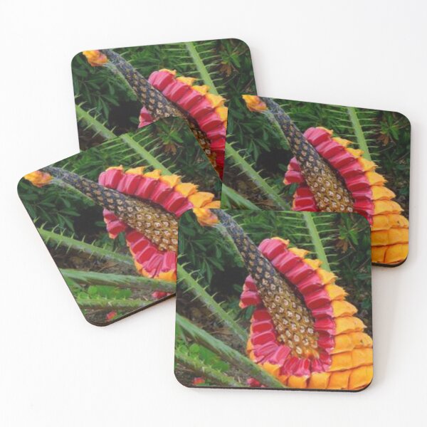Item preview, Nice cone cycad flower. designed and sold by Lan thi Nguyen.