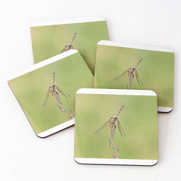Item preview, insect designed and sold by jmpznz.