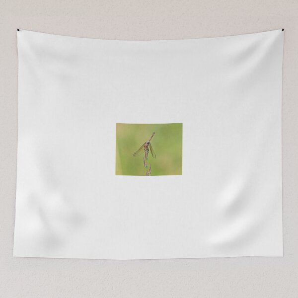 Item preview, insect designed and sold by jmpznz.