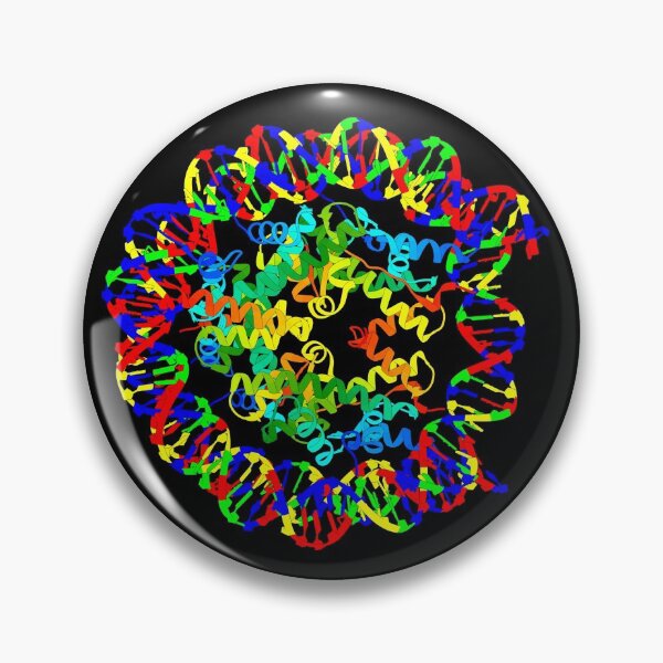 Item preview, Nucleosome designed and sold by 3D Biology.