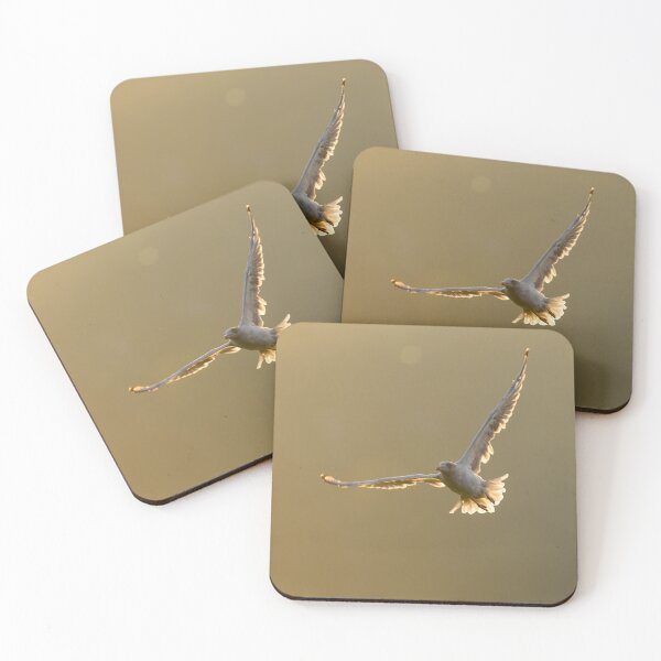 Item preview, Backlit Gull in Flight designed and sold by Ryan  Ten.