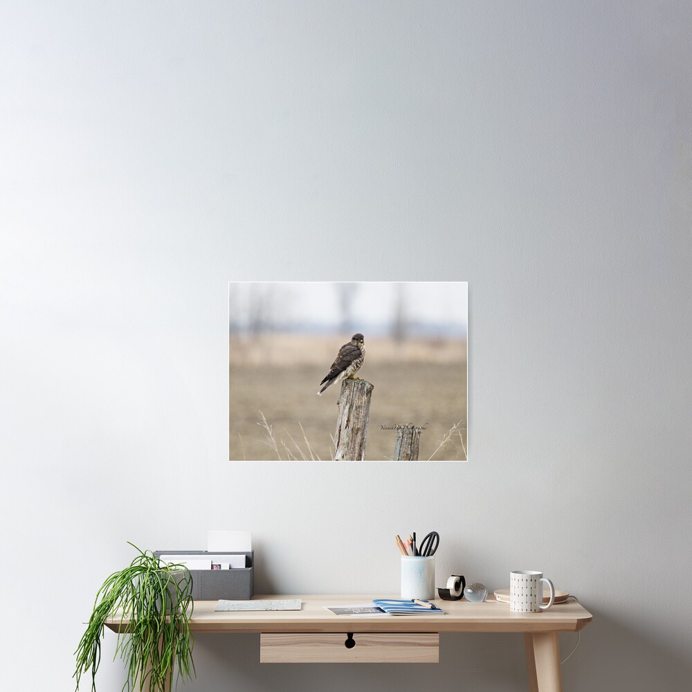 Item preview, Poster designed and sold by Photograph2u.